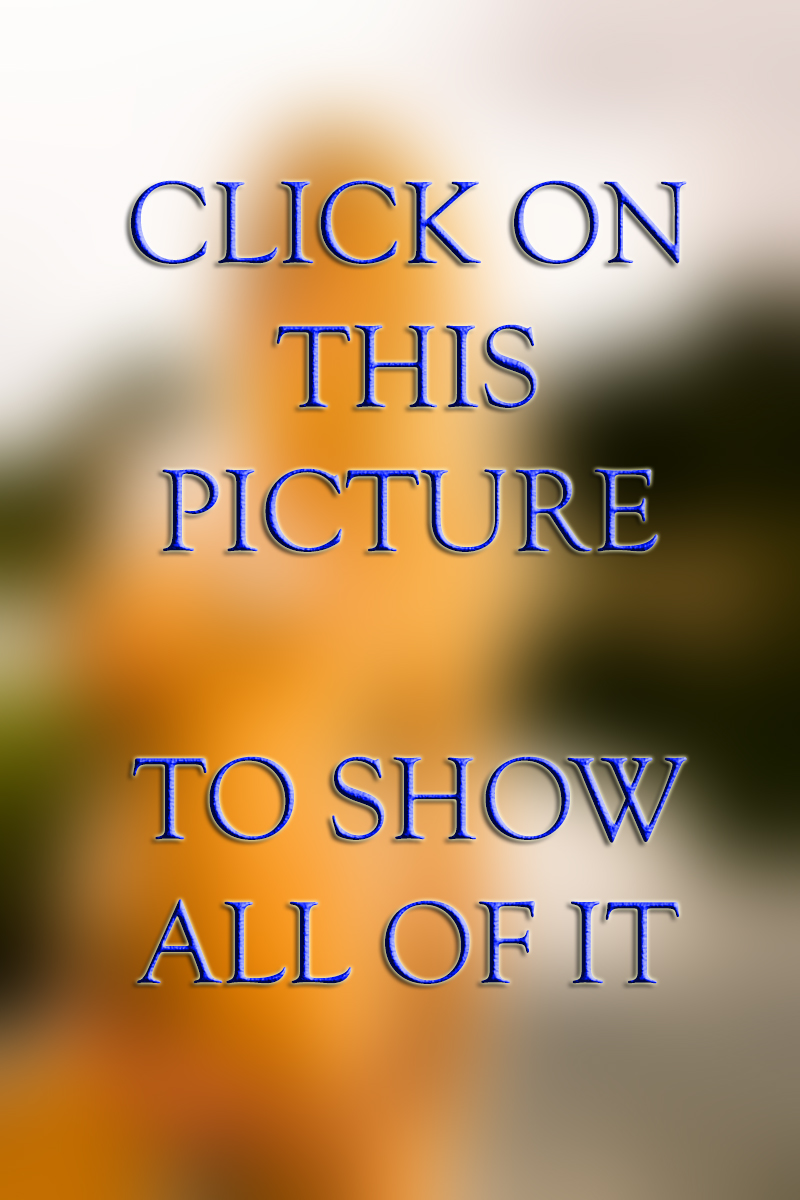 IMG_20140923_163131.jpg image